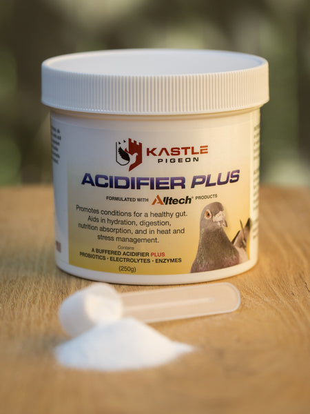 Acidifier Plus Kastle Pigeon Supplement, an alternative to apple cider vinegar
