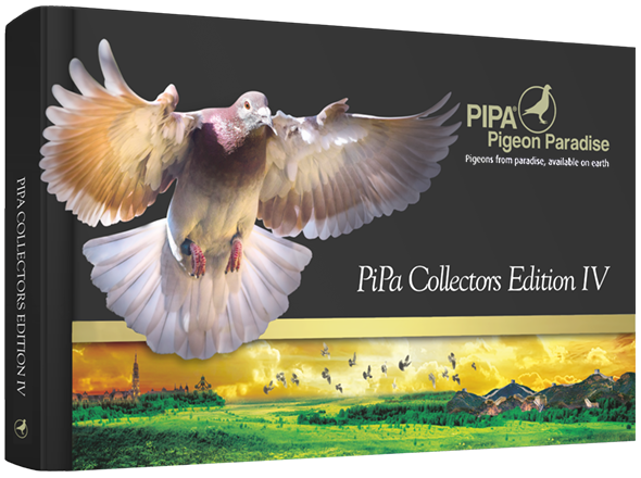 We landed the cover (again!) of Pipa Collector's Edition 4