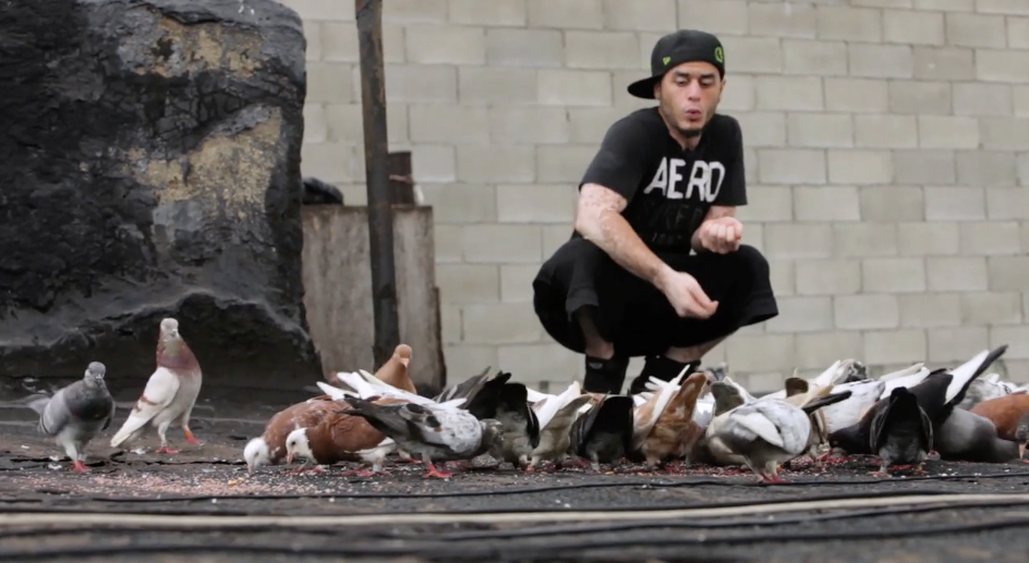 The Pigeon Kings of Brooklyn mini-doc