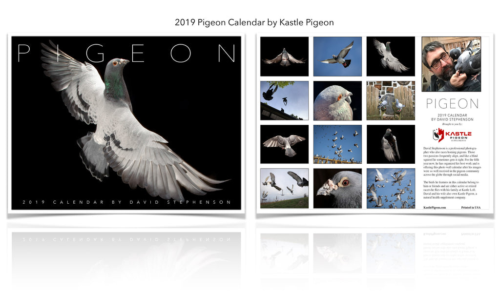 Our 2019 Pigeon Photo Wall Calendar is hot off the press