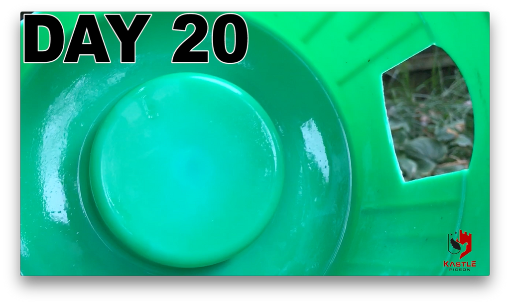 Are you tired of slime in your drinkers? Acidifier Plus can help