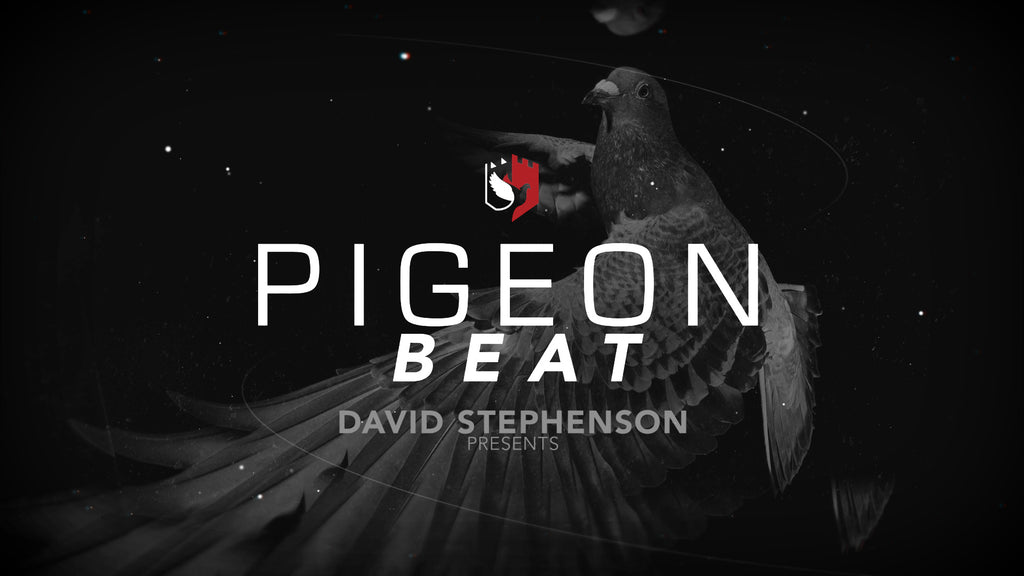 Announcing Pigeon Beat, a new show dedicated to pigeon stories