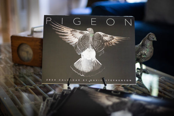 2024 Pigeon Photo Calendar