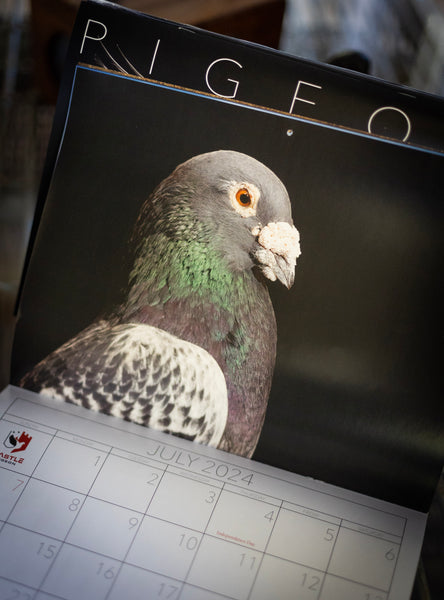 2024 Pigeon Photo Calendar
