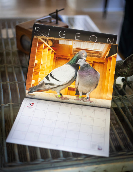 2024 Pigeon Photo Calendar