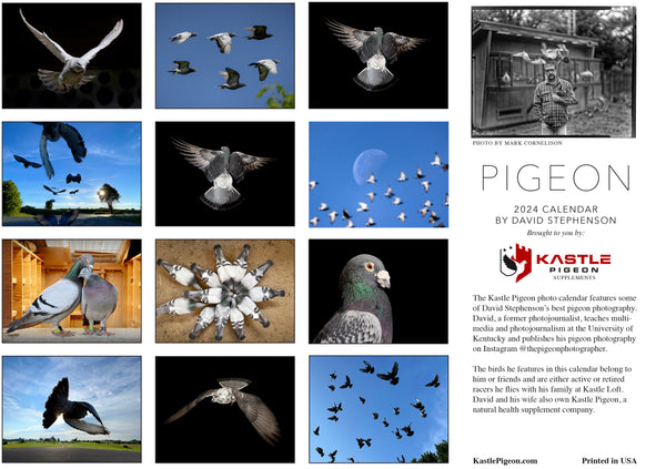 2024 Pigeon Photo Calendar