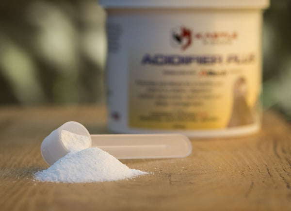 Acidifier Plus Kastle Pigeon Supplement probiotic acidifier electrolyte enzymes