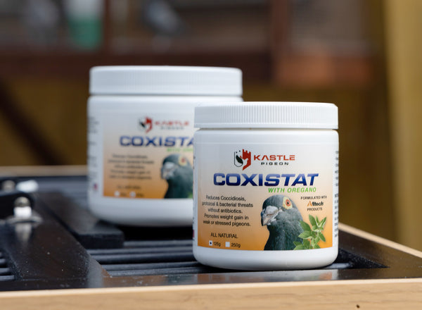 Kastle Pigeon Coxistat Coccidiosis treatment and prevention for pigeons and chickens