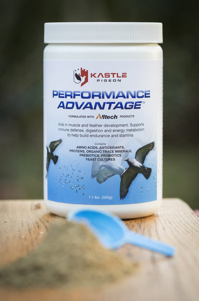 Kastle Racing Pigeon Performance Health Supplements probiotics immunity building