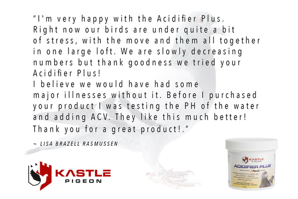 Kastle pigeon health testimonial