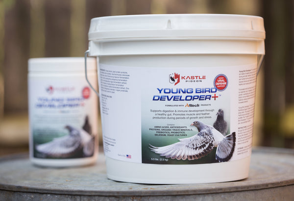 virus support health supplement probiotics for young pigeons
